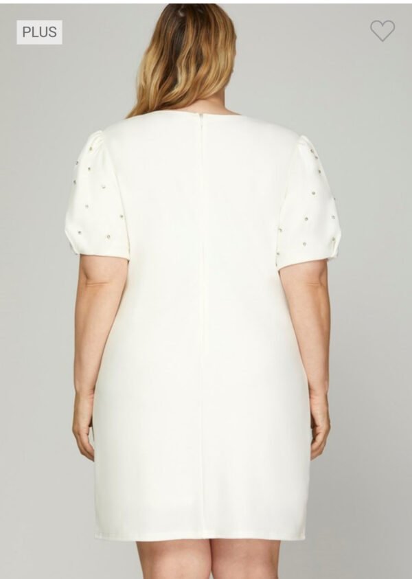 Special Occasion - 4 - Image 2