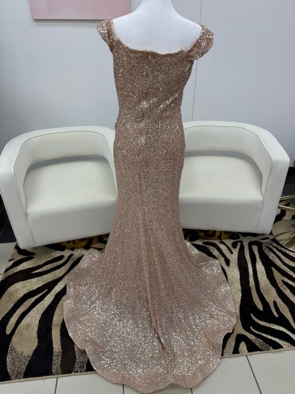Special Occasion - 16 - Image 3