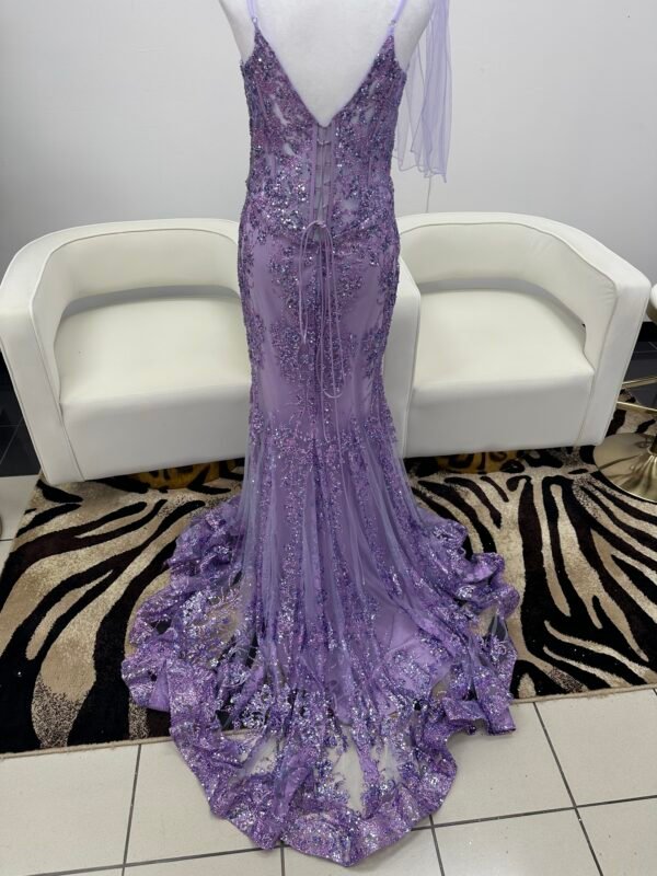 Special Occasion - 14 - Image 3